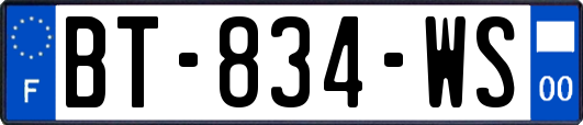 BT-834-WS