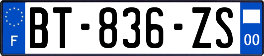 BT-836-ZS