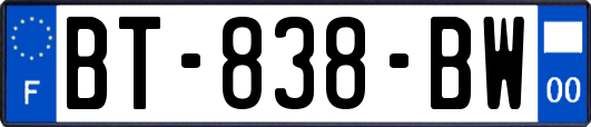 BT-838-BW