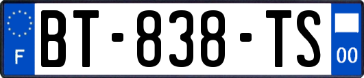 BT-838-TS