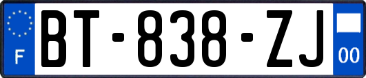 BT-838-ZJ