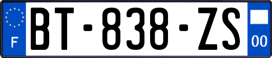 BT-838-ZS