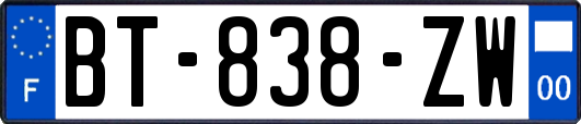 BT-838-ZW