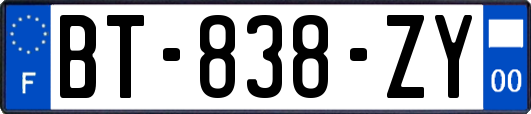 BT-838-ZY