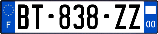 BT-838-ZZ