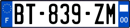 BT-839-ZM