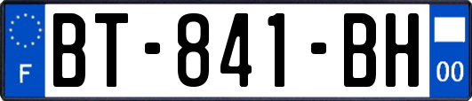 BT-841-BH