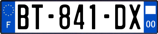 BT-841-DX