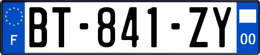 BT-841-ZY