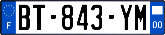 BT-843-YM