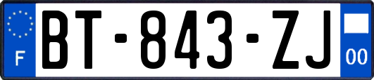 BT-843-ZJ