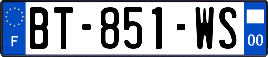 BT-851-WS