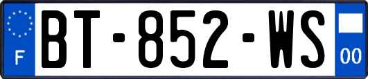 BT-852-WS