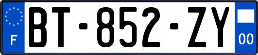 BT-852-ZY