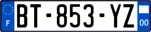 BT-853-YZ