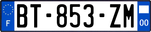 BT-853-ZM