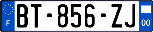 BT-856-ZJ