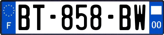 BT-858-BW