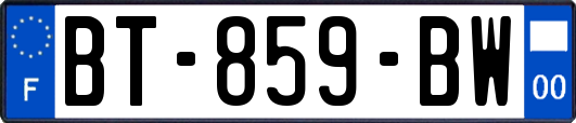 BT-859-BW