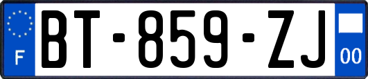 BT-859-ZJ