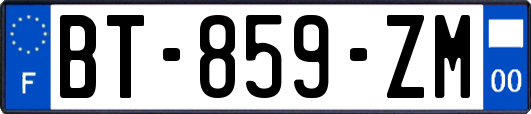 BT-859-ZM