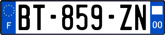 BT-859-ZN