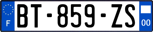 BT-859-ZS