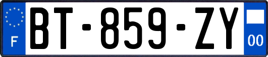 BT-859-ZY
