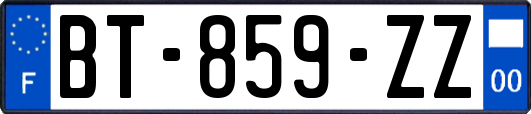 BT-859-ZZ