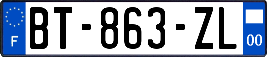 BT-863-ZL