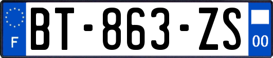 BT-863-ZS