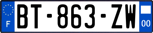 BT-863-ZW