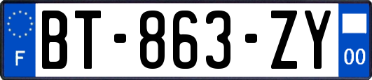 BT-863-ZY