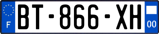 BT-866-XH