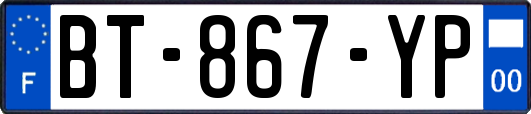 BT-867-YP