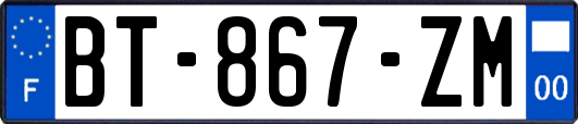 BT-867-ZM