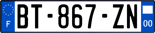 BT-867-ZN