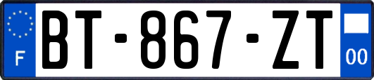 BT-867-ZT