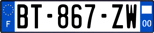 BT-867-ZW