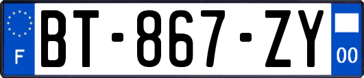 BT-867-ZY