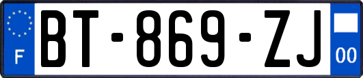 BT-869-ZJ