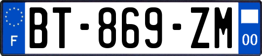 BT-869-ZM