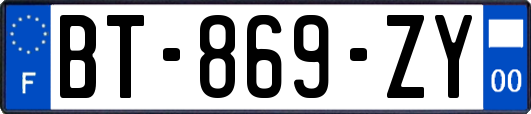 BT-869-ZY