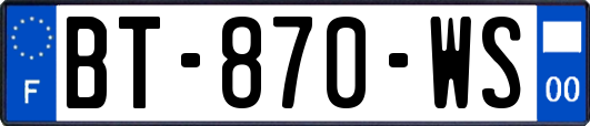 BT-870-WS