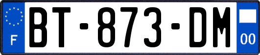 BT-873-DM