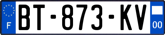 BT-873-KV