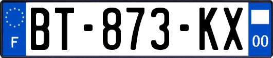 BT-873-KX