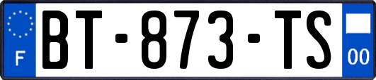 BT-873-TS