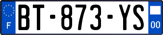 BT-873-YS