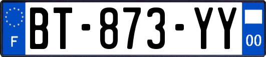 BT-873-YY